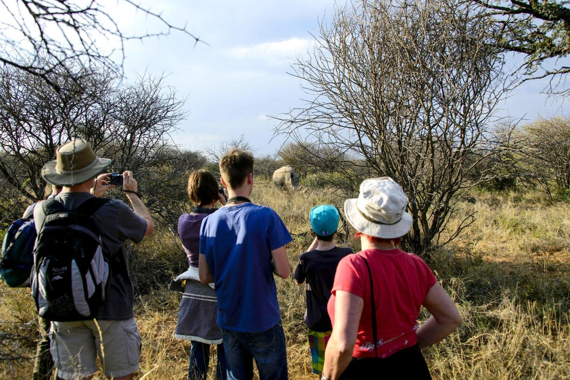 Waterberg Wilderness Villa Værelse billede