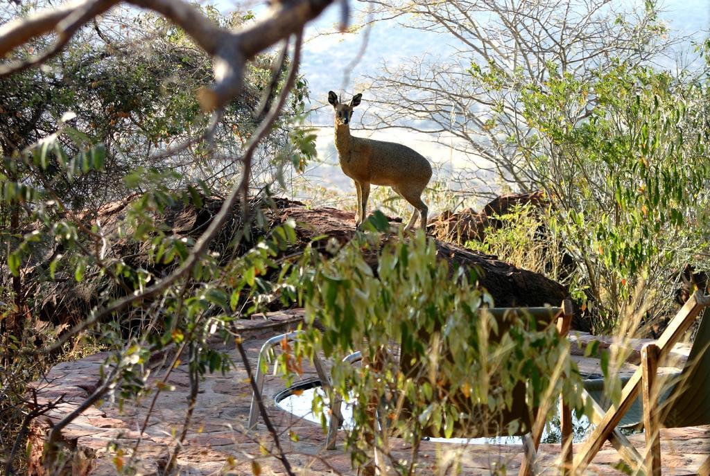 Waterberg Wilderness Villa Eksteriør billede